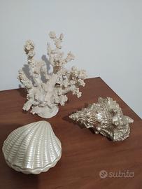 Decorazione Mare / Soprammobile  Maison Du Monde 