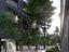 Immagine 13