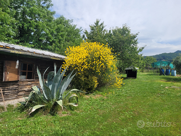 Terreno agricolo con annesso condonato