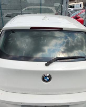 Portellone nudo BMW 116D del 2014