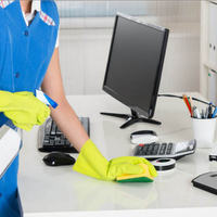 Pulizia e stiro/ Colf