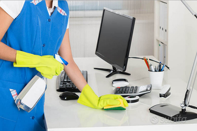 Pulizia e stiro/ Colf