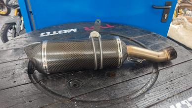 Scarico ROADS per DUCATI Monster 821