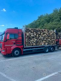 camion man TGS 26 / 510