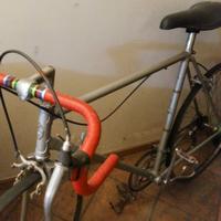 Bicicletta Olmo
