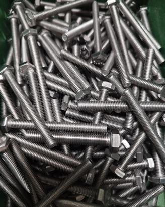 Vite M6x60mm Inox
