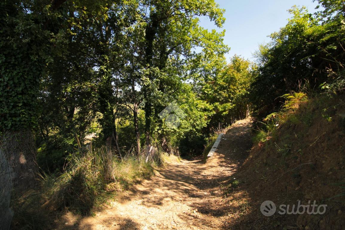 TER. AGRICOLO A TORRACA - Vista 5