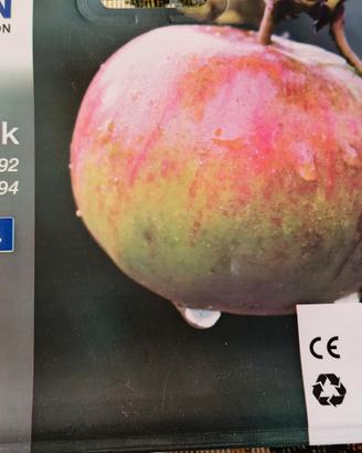 EPSON cartucce Multipack 