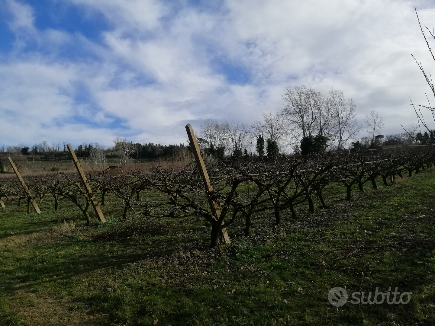 Terreni zona collinare e pianeggiante - Vista 2