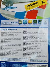 Telo per auto