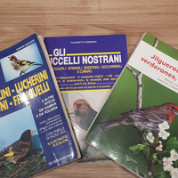 Libri canarini cardellini