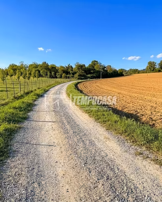 TERRENO AGRICOLO