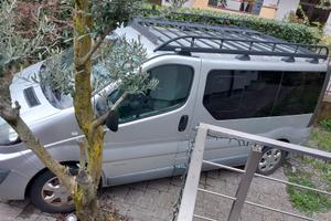 RENAULT TRAFIC BLACK EDITION DCI 115 - 8 POSTI