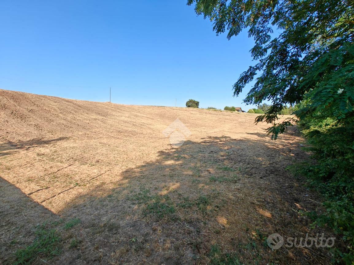 TER. AGRICOLO A ARDEA - Vista 2
