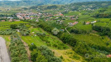 TER. AGRICOLO A RONCÀ