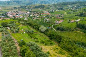 TER. AGRICOLO A RONCÀ