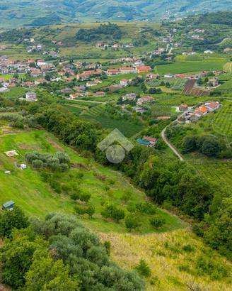 TER. AGRICOLO A RONCÀ