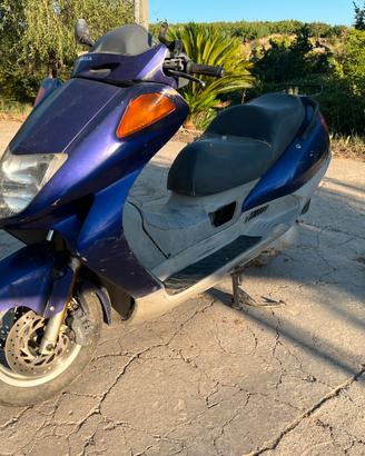Honda foresight 250