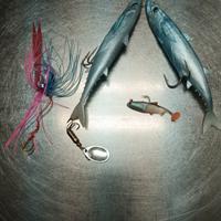 Artificiali spinning 