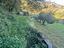Immagine 26