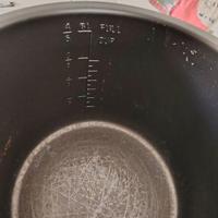 Pentola a pressione elettrica masterpro