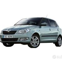 Ricambi auto Skoda Fabia/Roomster dal 2010 in poi