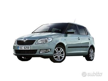 Ricambi auto Skoda Fabia/Roomster dal 2010 in poi