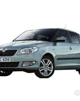 Ricambi auto Skoda Fabia/Roomster dal 2010 in poi