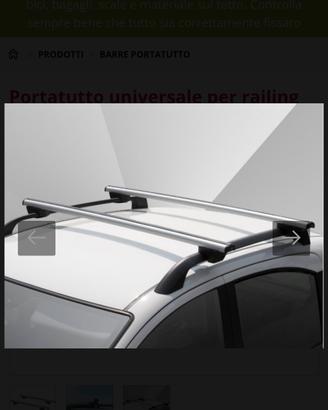 Barre Portatutto Kuga