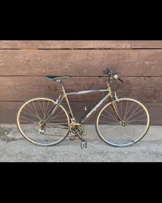 Bici Merida