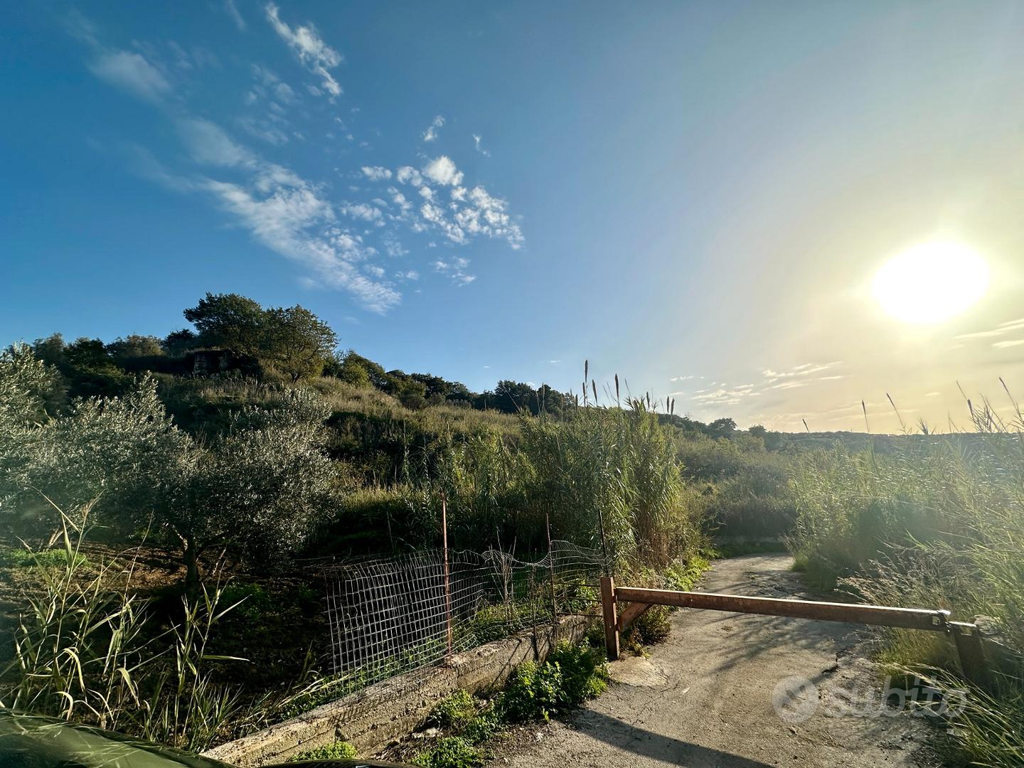 Terreno agricolo a Partinico, Contrada Valguarnera - Vista 3