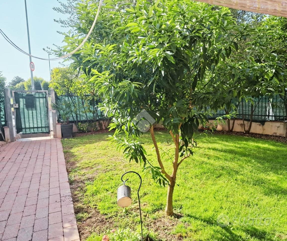 Appartamento – Zevio - Vista 5