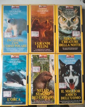nuove ancora sigillate 6 VHS national Geographic