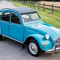 Ricambi accessori cabina citroen 2 cavalli