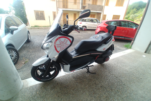 Xmax 250 2010