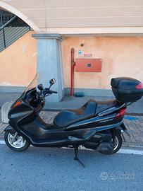 Majesty 250