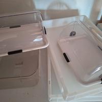 vassoi impasto pizza