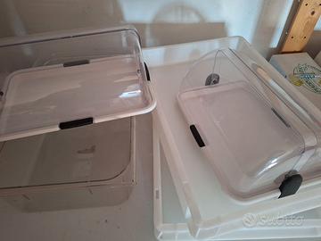 vassoi impasto pizza