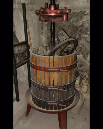 Torchio per uva con pigiatrice
