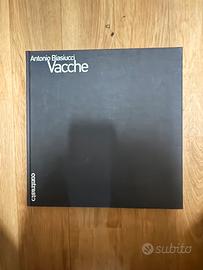 Vacche - Antonio Biasiucci - Contrasto