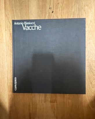 Vacche - Antonio Biasiucci - Contrasto