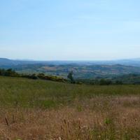 Terreno agricolo a Stribugliano