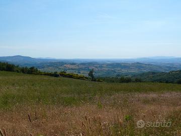 Terreno agricolo a Stribugliano
