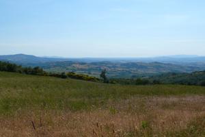 Terreno agricolo a Stribugliano
