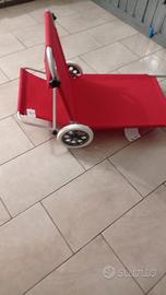 Sedia da mare con ruote