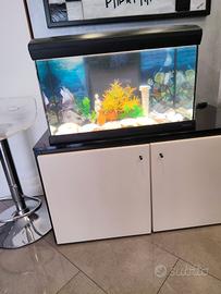 acquario Mirabello MR.60 .