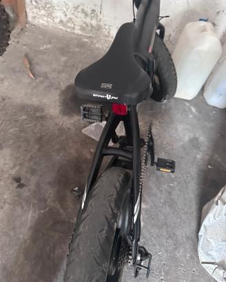 Bici elettrica