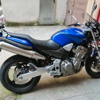 honda hornet 900