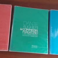 Divina Commedia con guida allo studio