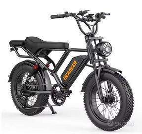Bici elettrica 750w 48v 20Ah